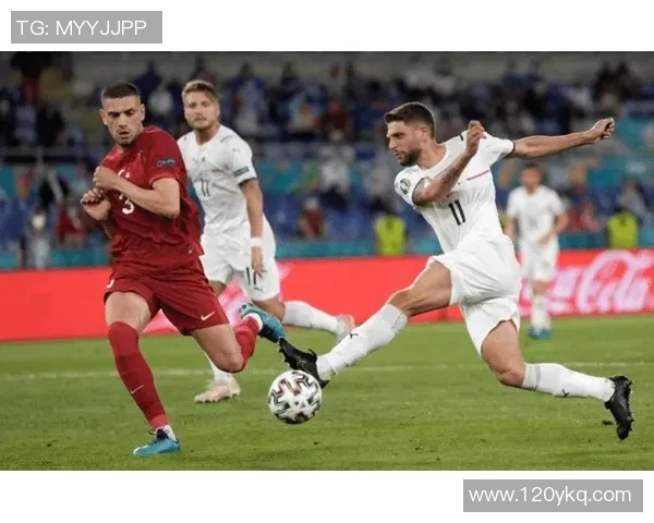 法国与瑞典在欧洲杯的激烈对决回顾与分析