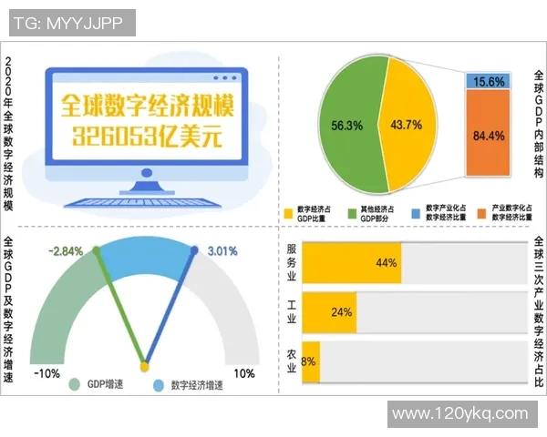 探索24zbw的潜力与应用前景助力数字经济的创新发展与转型升级